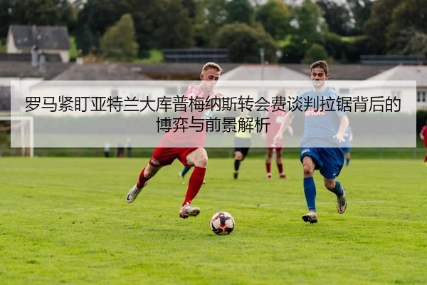 img_1781725787121_1159_1_437.jpg